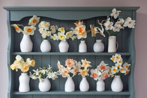 Grow Your Own Cut Flowers - Image 5