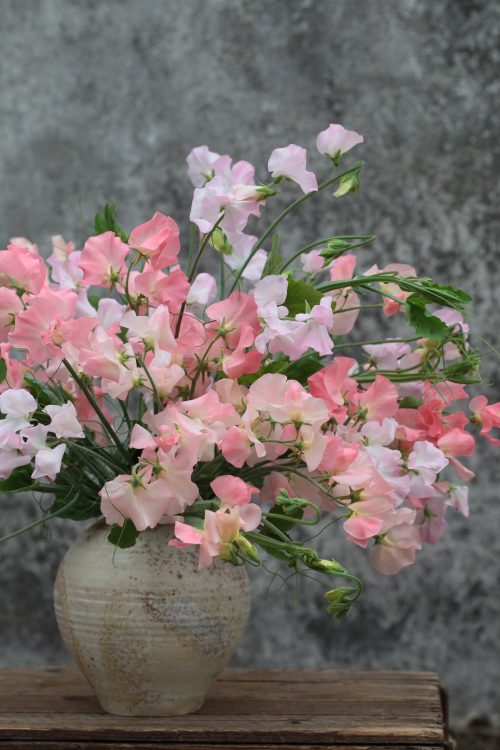 Flower Farming Masterclass - Summer - Image 7