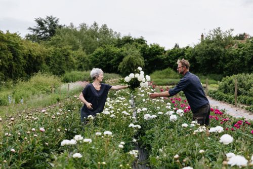 Grow Your Own Cut Flowers - Image 14
