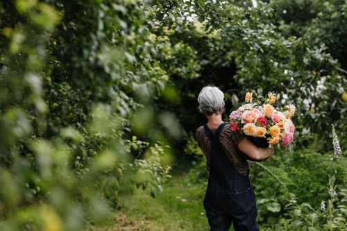 The Cut Flower Sourcebook - Image 9