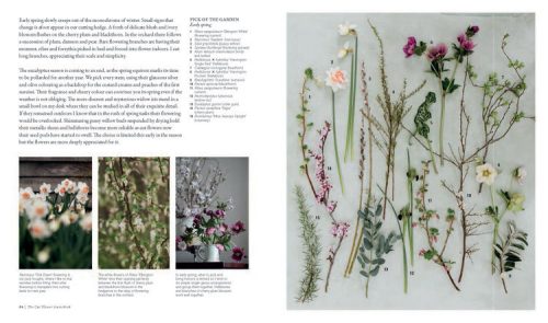 The Cut Flower Sourcebook - Image 5