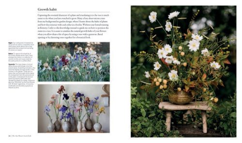 The Cut Flower Sourcebook - Image 4