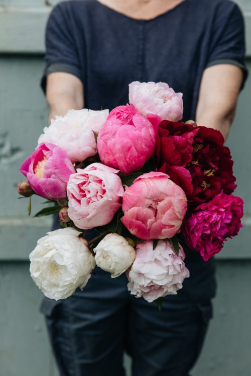 Garden to Vase - Peonies - Image 4