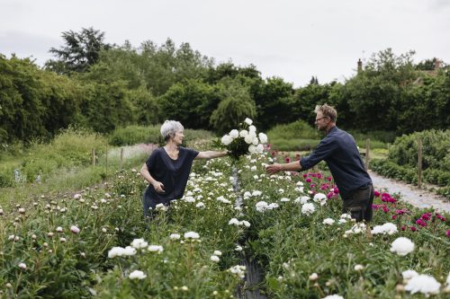 Grow Your Own Cut Flowers