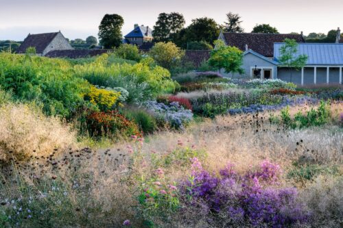 Garden and Flower Photography with Jason Ingram